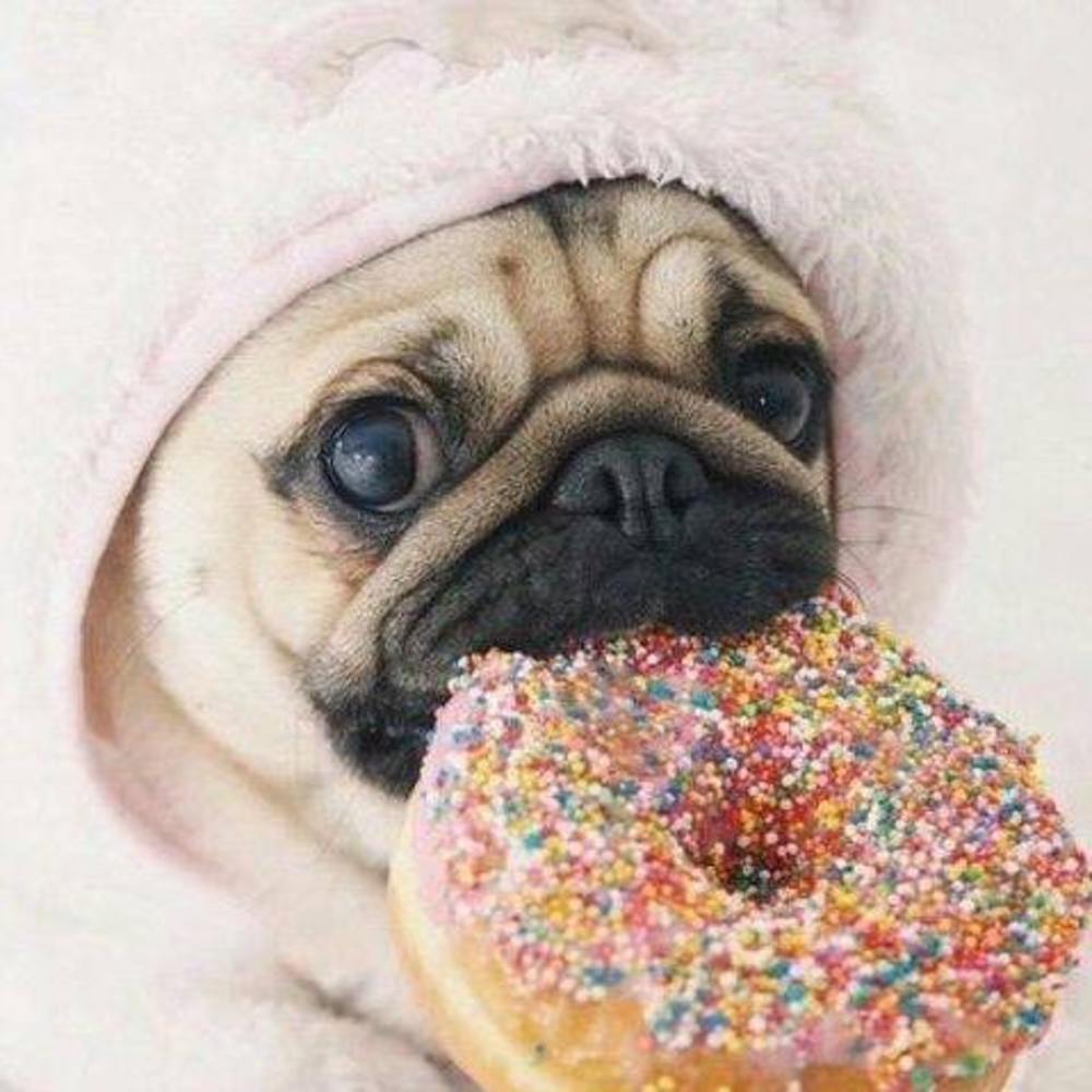 Meet your Posher, Daniela